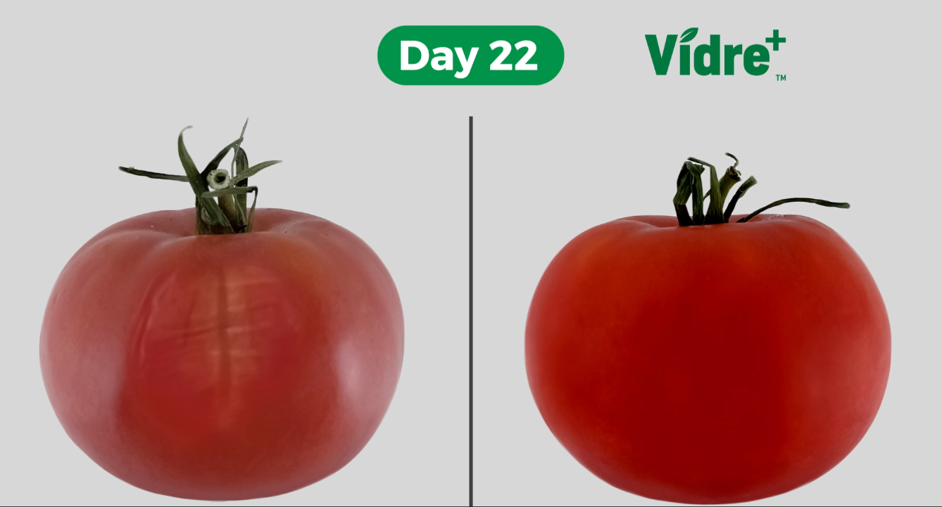 Vidre+ technology on tomatoes.